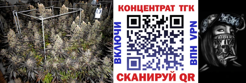 Дистиллят ТГК гашишное масло  Хилок 