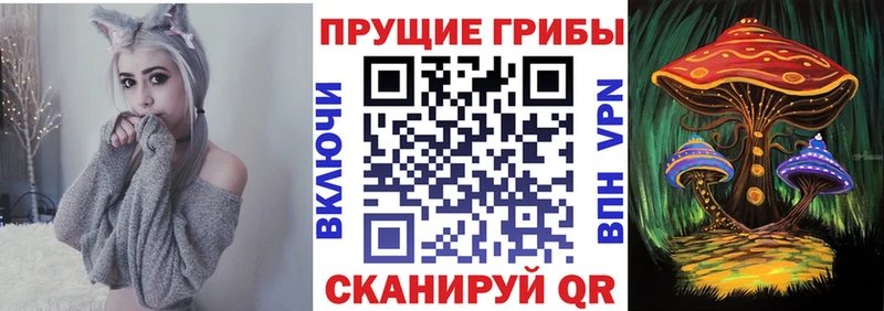 Псилоцибиновые грибы прущие грибы  Хилок 